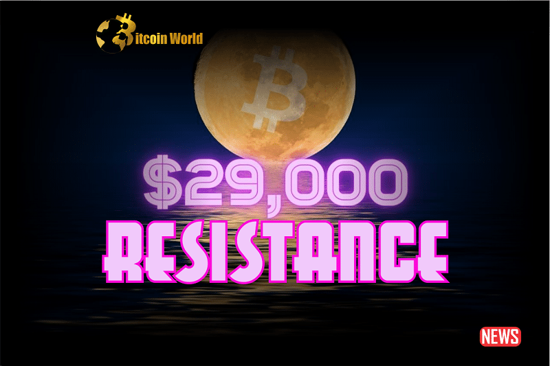 BTC 29000