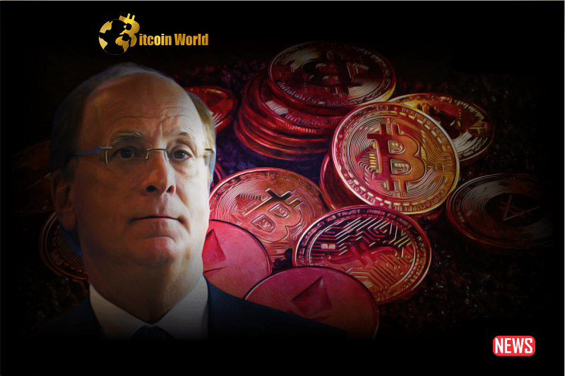 BackRock CEO Larry Fink
