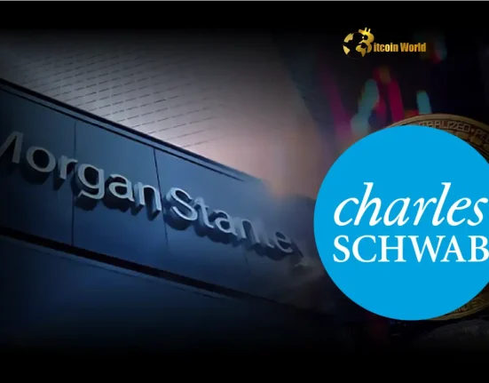 Bernstein Warns Charles Schwab & Morgan Stanley Face Fierce Crypto Market Battle as Latecomers
