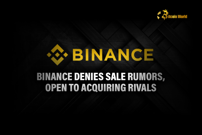Binance Unveils Truth: Denies Fueling Crypto Market Downturn Amidst Asset Sell-Off Rumors