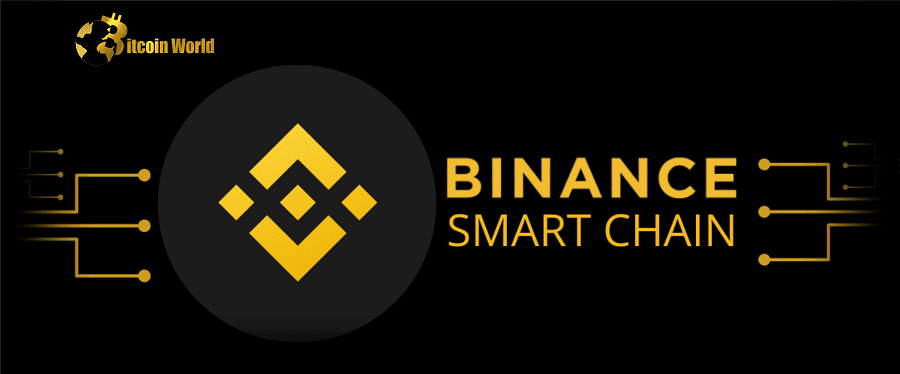 BNB Chain on-chain activity bucks bear market downtrend in Q4: Messari