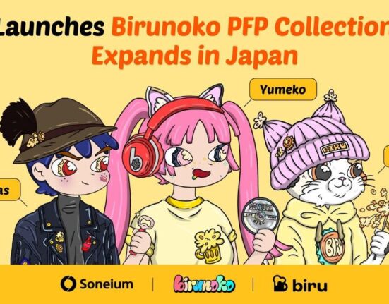 Biru Launches Birunoko PFP Collection Expands Japa 1748226005TFYe81ArZg