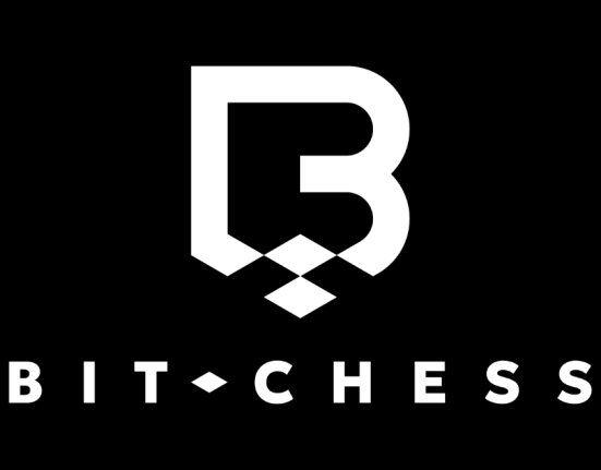 Bit chess logo PR