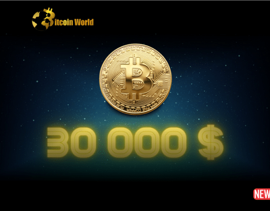 Bitcoin 30000