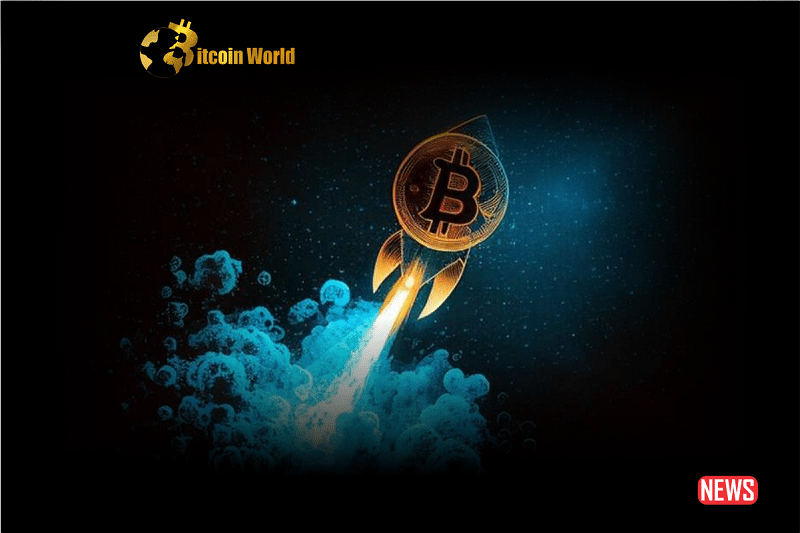 Bitcoin BTC Price Could Hit 100000