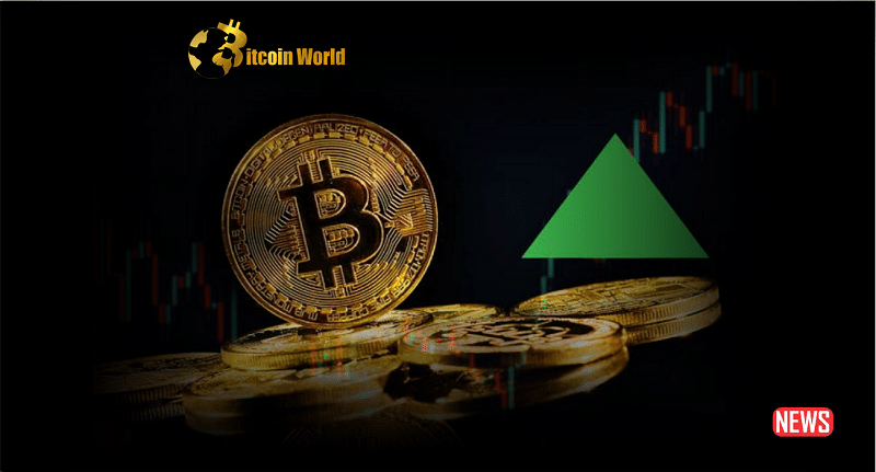 Bitcoin Bounces Sharply From 50DMA