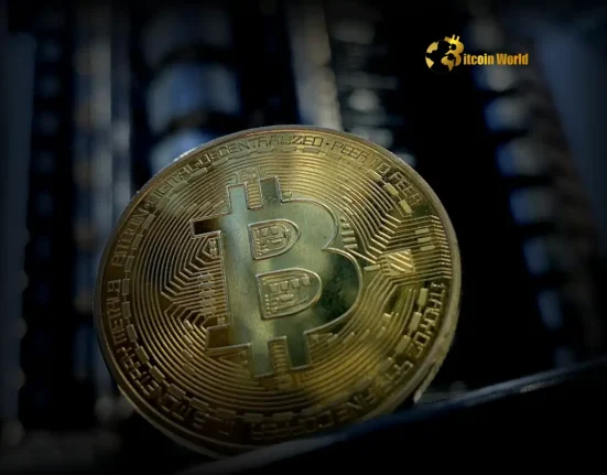 Bitcoin Decoupling Crucial Uncertainty in US Stock Market Divergence