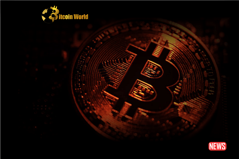 Bitcoin Drop Before Halving