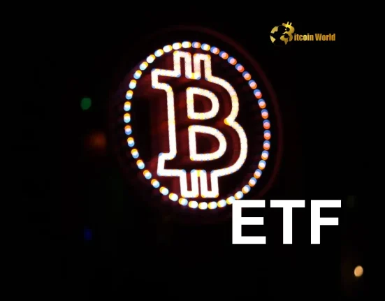 Bitcoin ETF Inflows Surge: A Bright Signal for the Crypto Market