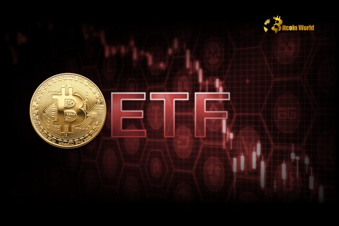 Bitcoin ETF Plunge Smart Investors Flock to Gold ETFs as Market Correction Deepens