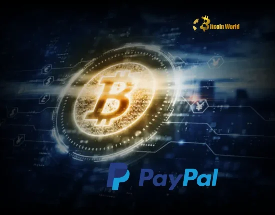 Bitcoin Everyday Use: Former PayPal CEO Reveals Surprising Future
