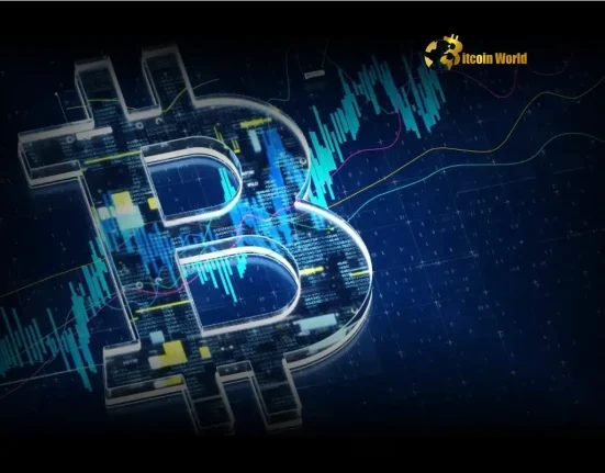Bitcoin Market Cap Soaring: Hits Historic 8th Place Globally