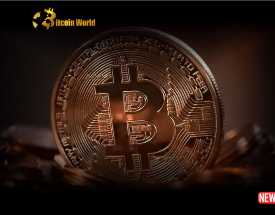 Bitcoin Miners Reap