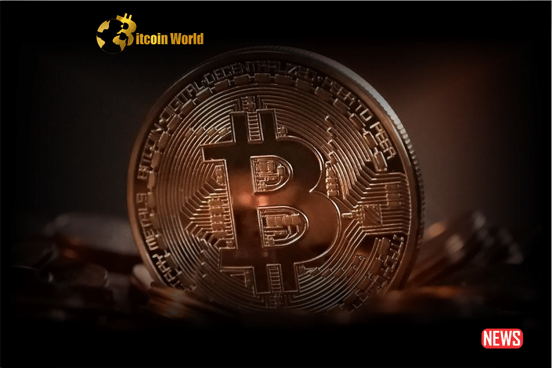 Bitcoin Miners Reap