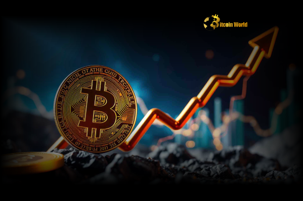 Bitcoin Price Analysis Holders Defy Gravity, Signaling Potent Q3 Breakout