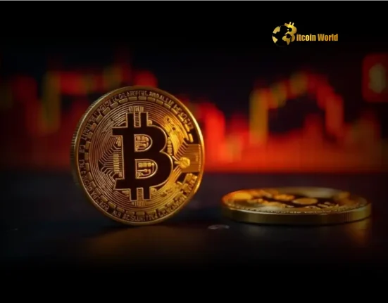 Bitcoin Price Factors Unlocking Crucial Levels and Market Signals This Week