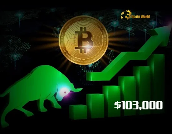 Bitcoin Price Hits Astonishing $103,000 Milestone What’s Driving This Crypto Market Rally
