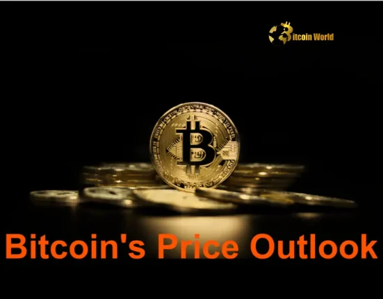 Bitcoin Price Outlook Is Current Resilience a Mirage Amid Macro Risks