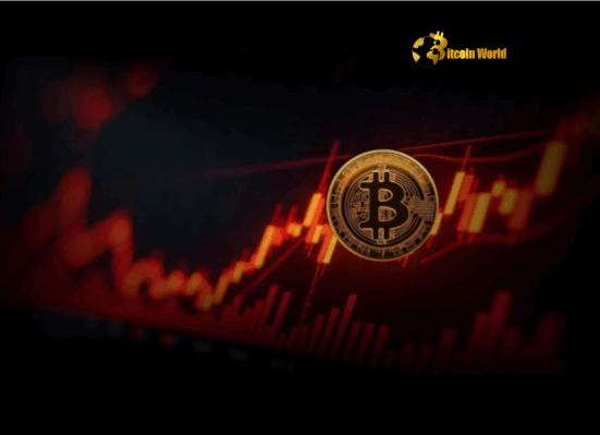 Bitcoin Price Plunge: What the BTC Drop Below $107,000 Means