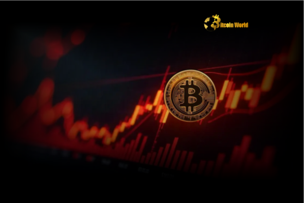 Bitcoin Price Plunge: What the BTC Drop Below $107,000 Means