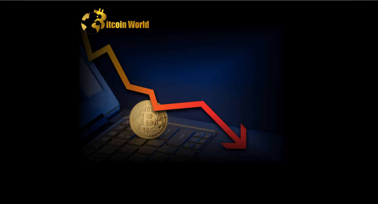 Bitcoin Price Plunges 5% After Rejection and Now At Risk of Move To $21K