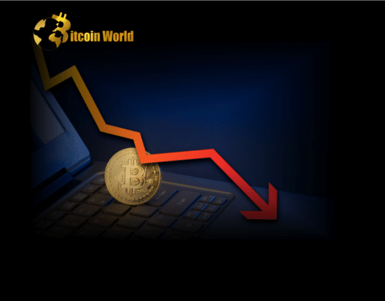 Bitcoin Price Plunges 5% After Rejection and Now At Risk of Move To $21K