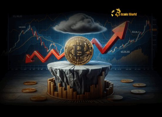Bitcoin Price Poised for Potential Rally as Fed Pause Ignites Hope