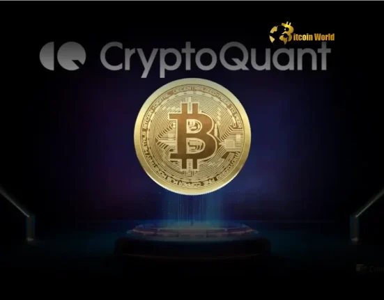Bitcoin Price Prediction: CryptoQuant CEO Signals Crucial Trend Shift Near $100K