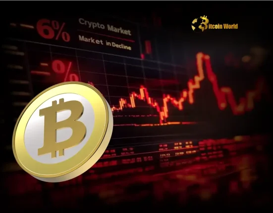 Bitcoin Price Shocking Fall Below $103,000 Rocks Crypto Market