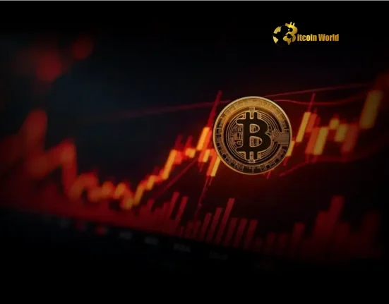 Bitcoin Price Soars Unpacking the Latest Crypto Market Surge