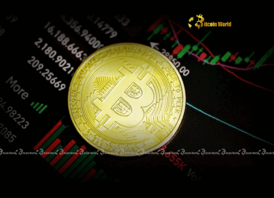 Bitcoin Price Urgent Update as BTC Falls Below $104,000