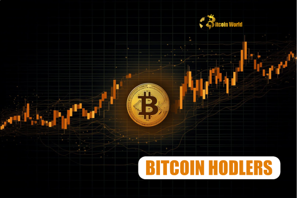 Bitcoin Short-Term Holders: Astonishing Profitability Limits Downside