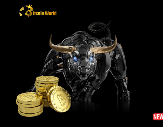 Bitcoin Shows Signs of Bullish