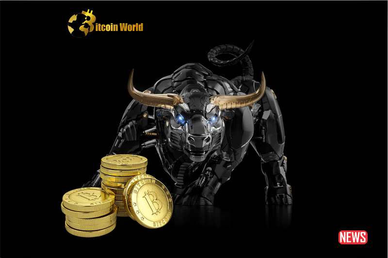 Bitcoin Shows Signs of Bullish