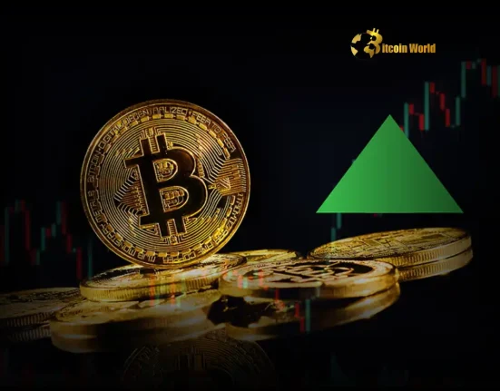 Bitcoin Surge: Public Companies Driving Massive Exchange Outflows