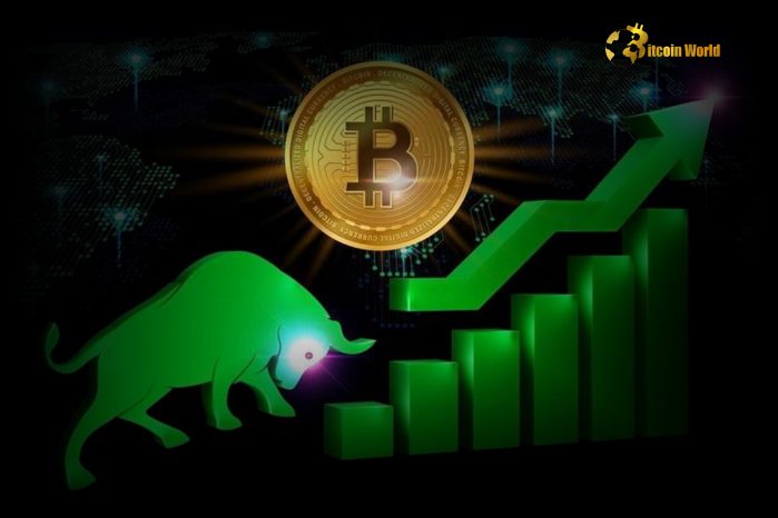 Analysis: Bitcoin Surges After Trump’s Election Victory, Temporary Lull in ‘Trump Trades’ Expected