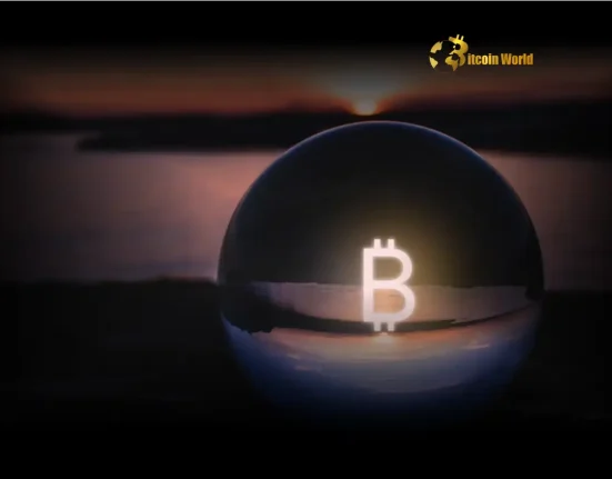 Bitcoin Unlocks Potential Solidifies Independent Asset Status, Eyes Gains