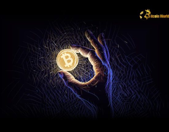 Bitcoin Vision Fails Crypto Needs a Powerful Ideological Shift, Claims Early Developer