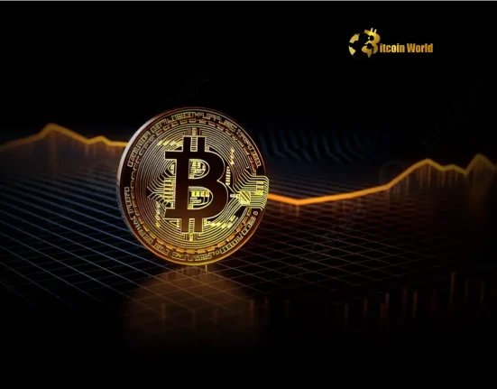 Unlocking Bitcoin’s Strong Support: Why $100,000 is a Crucial Price Level