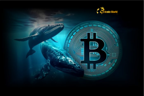 Bitcoin Whales and Retail Investors Powerful Signal as Holding Reaches New Lows