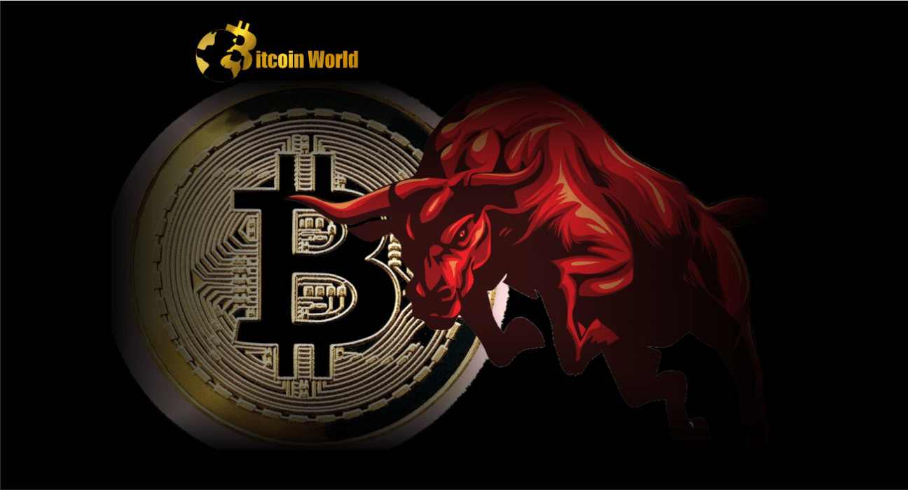 Bitcoin bull 1