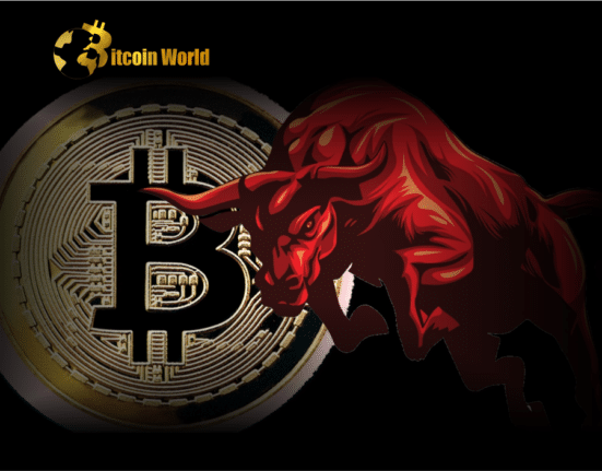 Bitcoin bull 1