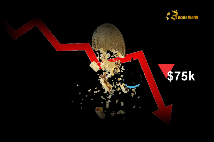 Bitcoin faces increased risk