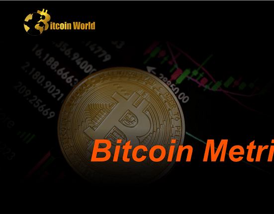 Bitcoin: Why ‘this analyst and metric’ Support a BTC Long