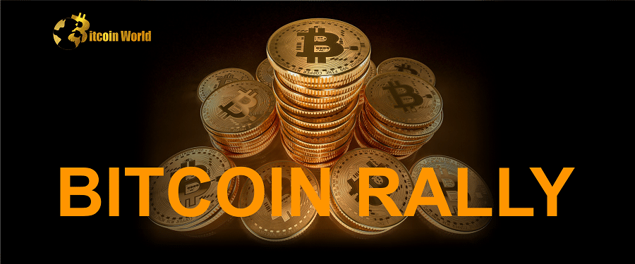 Quant Analyst PlanB Says 5,800% Bitcoin Rally Is Coming, Calls Current Price a ‘Steal’