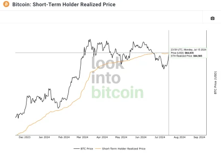 Bitcoin Price Sheds 3% As 100,000 BTC Leaves Mt. Gox Cold Wallet Bitcoin short term holder realized price screenshot. Source Look Into Bitcoin