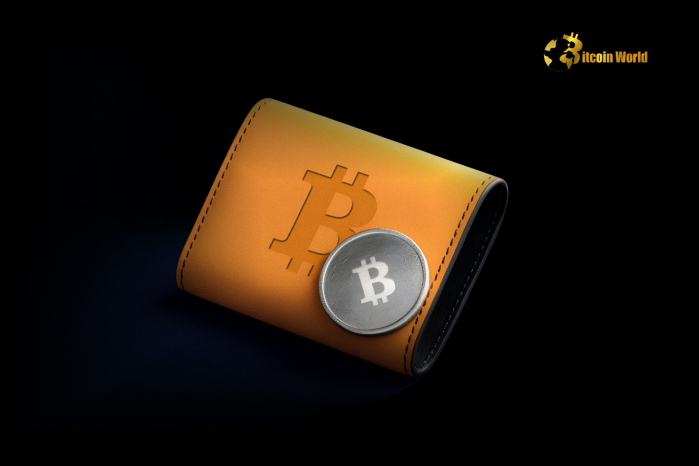 Bitcoin Wallets Holding 100-1,000 BTC Hit All-Time High, Signaling Bullish Momentum