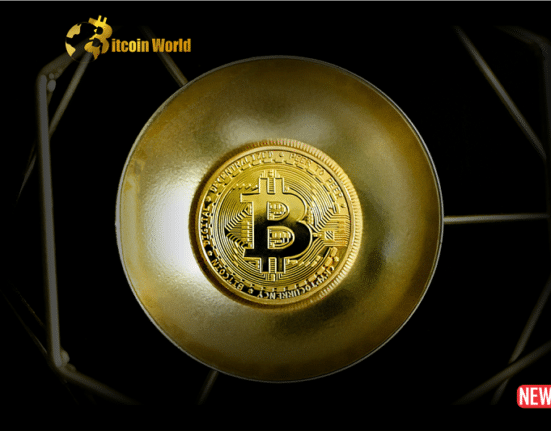 Bitcoins Boredom