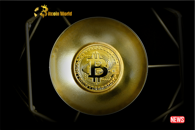 Bitcoins Boredom