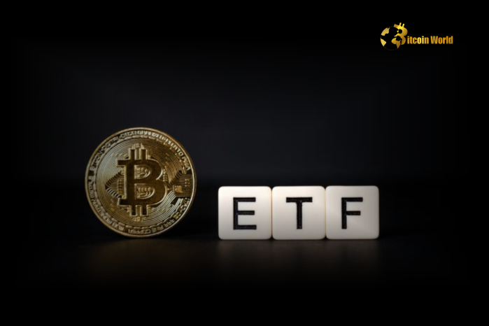 Bitcoin's Crucial Consolidation: Navigating ETF Outflows and Economic Uncertainty